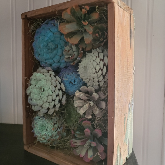 Succulent display handcrafted from pinecones new - Picture 4 of 4